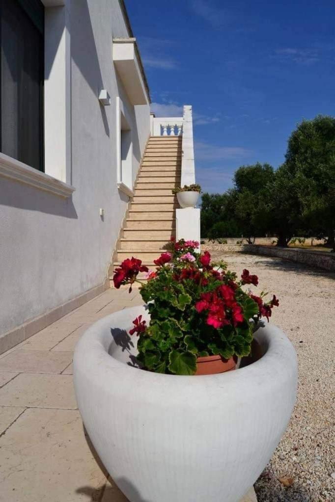 Penzion Le Stanze Di Casa Polinisso Carovigno Exteriér fotografie